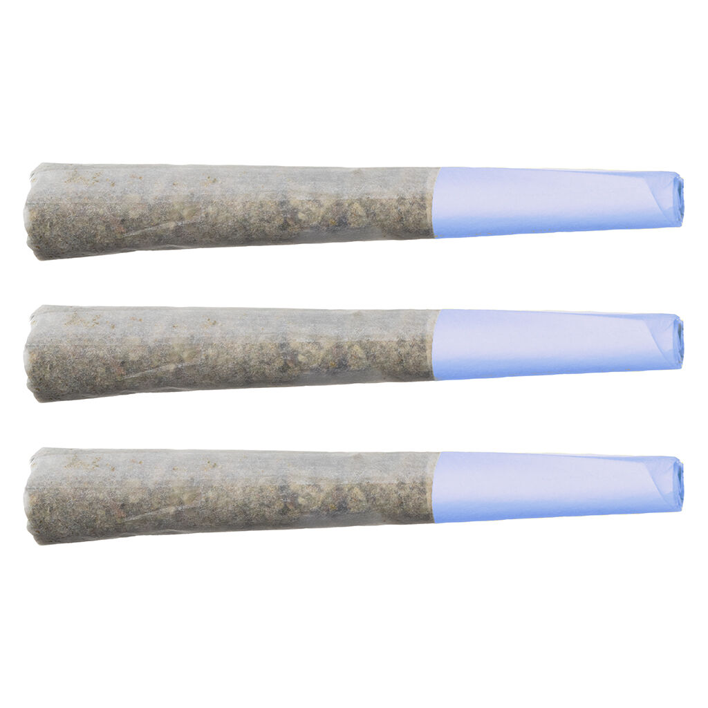 Blueberry Burst Pre-Roll 2