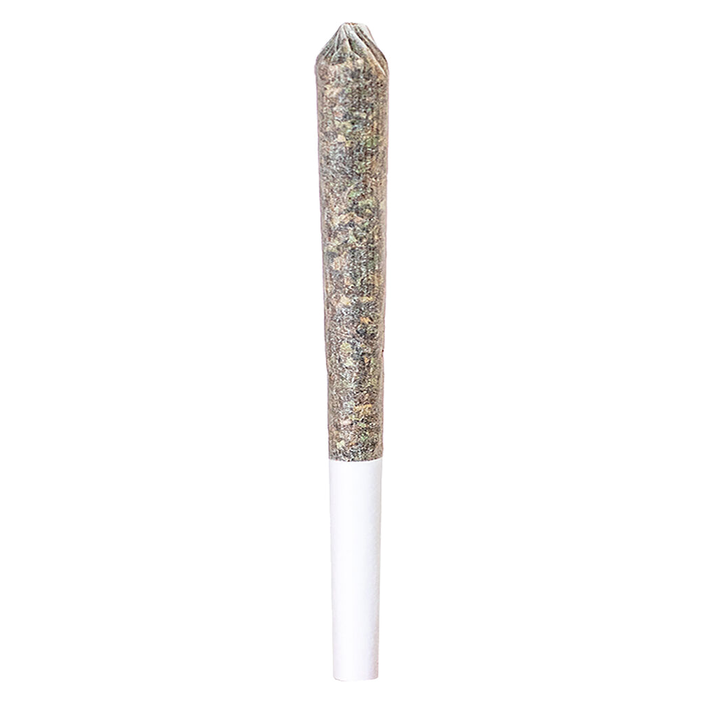 Blue Dream Express Infused Pre-Roll