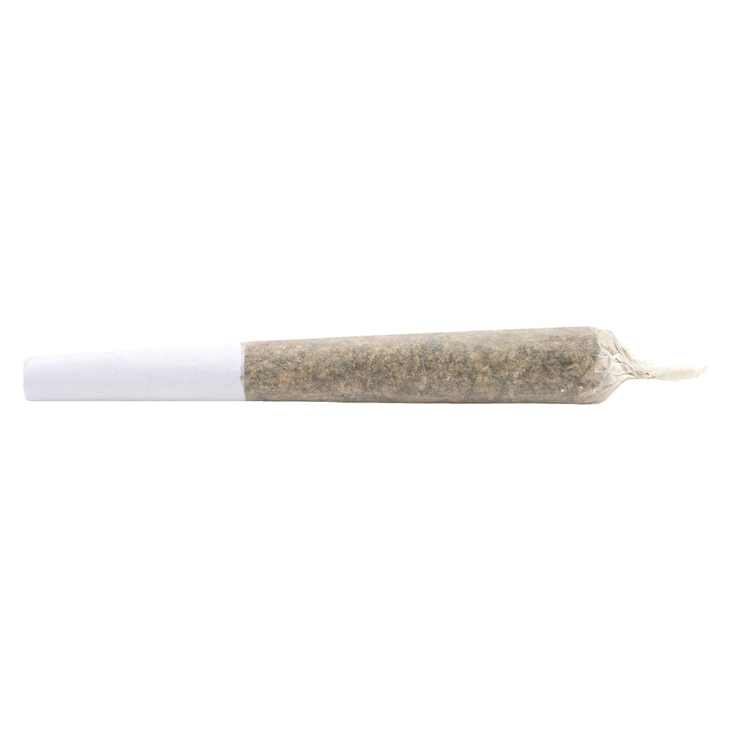Water Hash Infused Pre-Roll Sativa