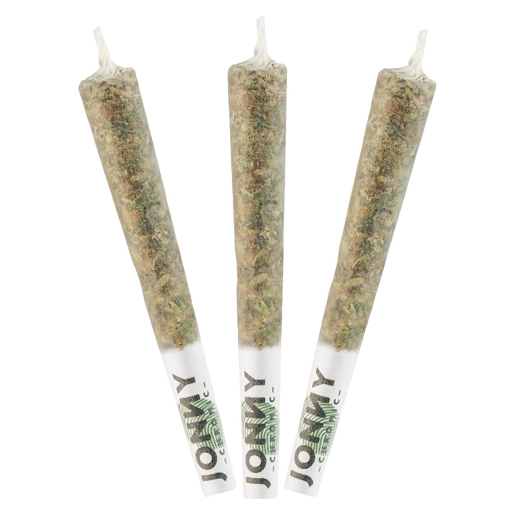 Live Resin Taster Pack Infused Pre-Roll