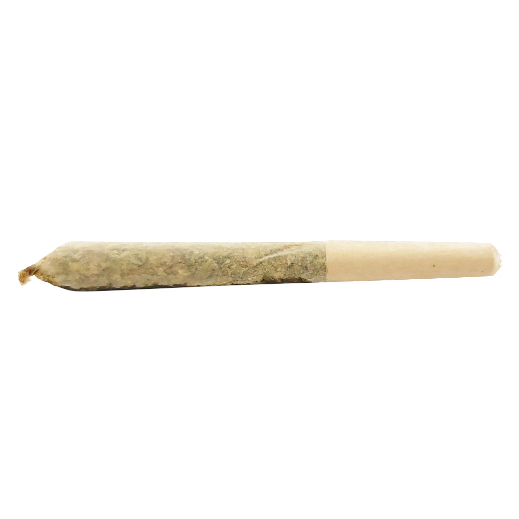 Apple Spice Resin Infused Pre Roll
