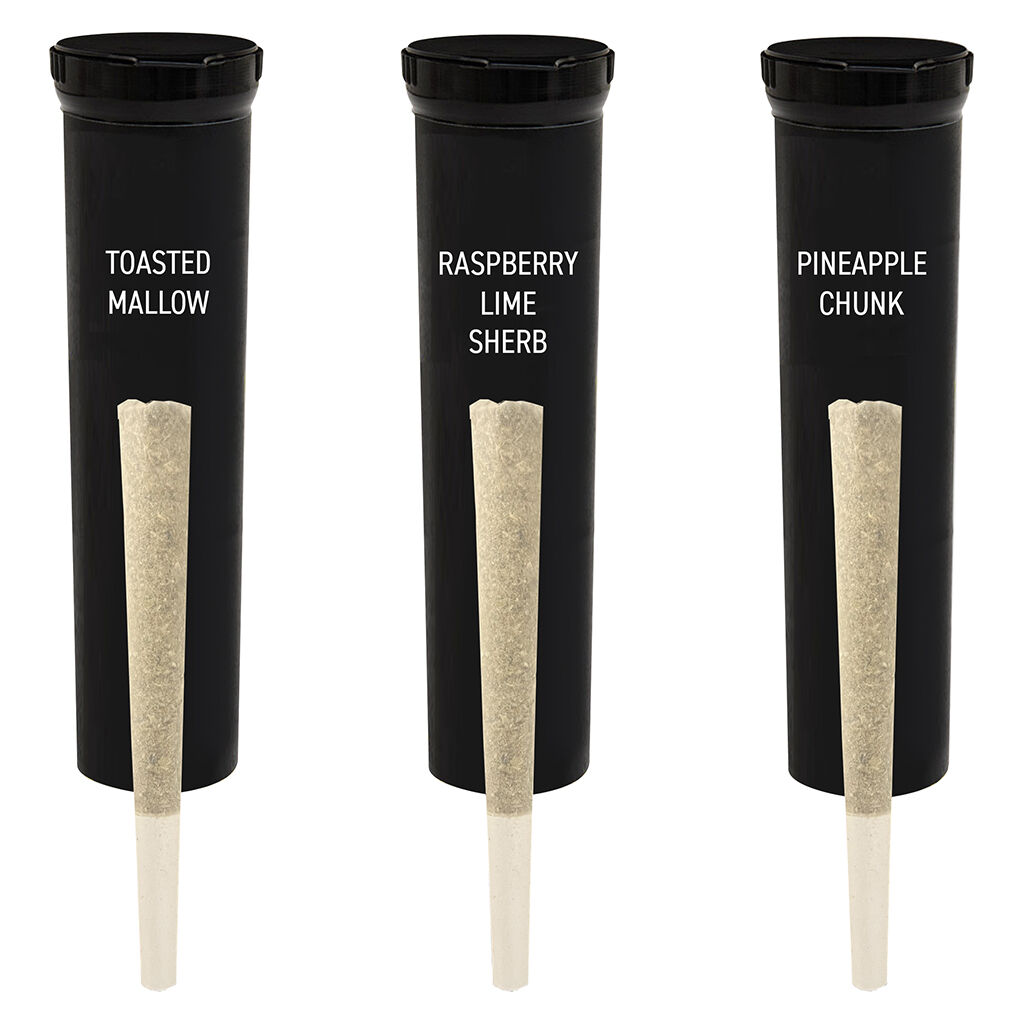 Summer Nights Collection Distillate Infused Pre-Roll