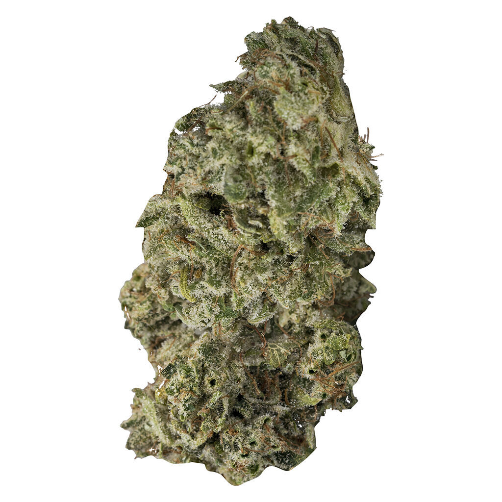 DBL Dutch 2