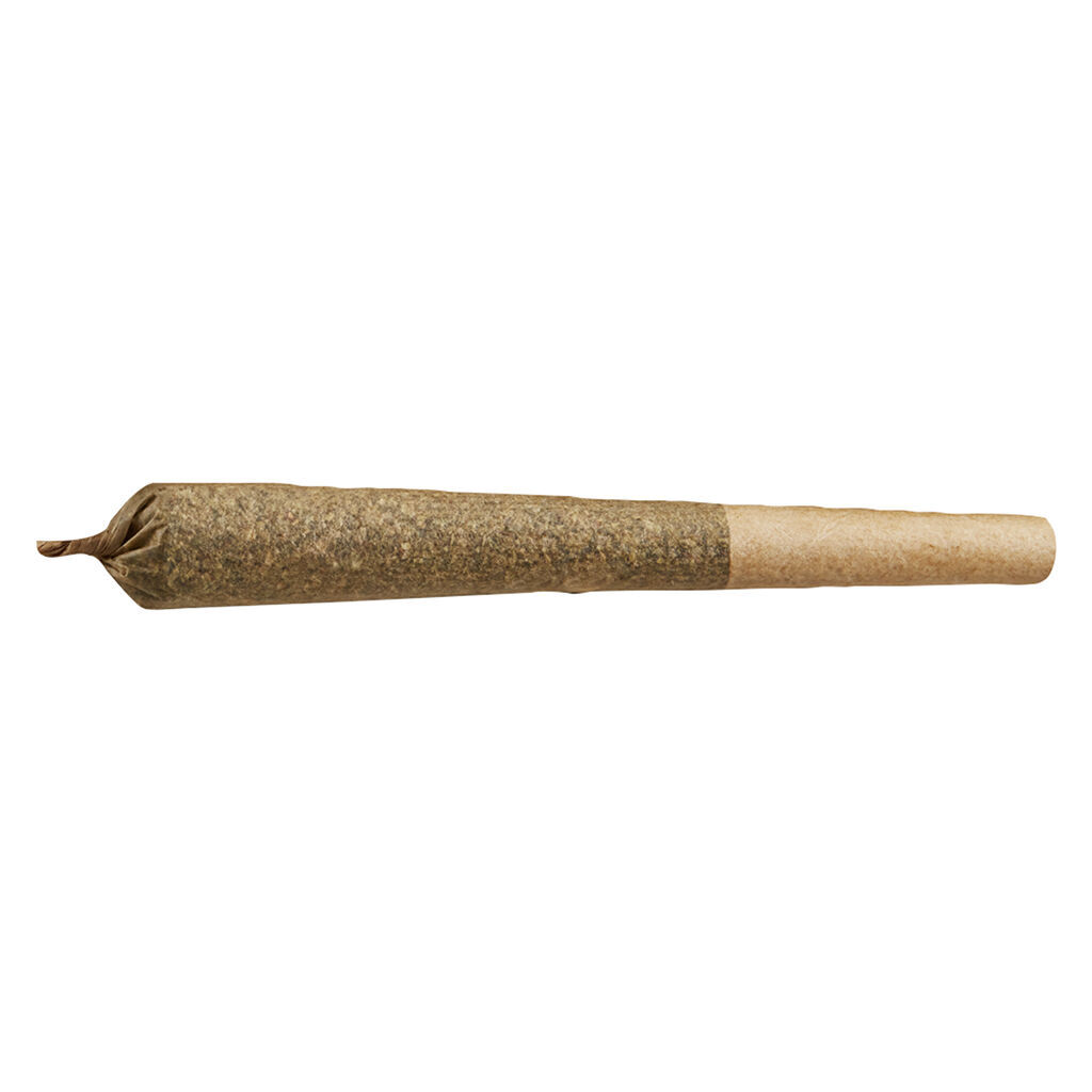 Nakatomi Plaza Pre-Roll