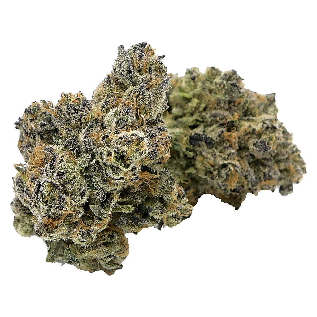 RNTZ 2