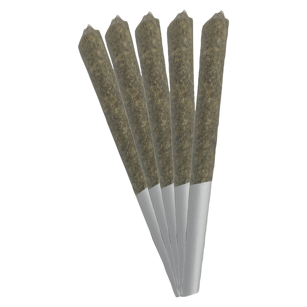 Gasolina Pre-Roll