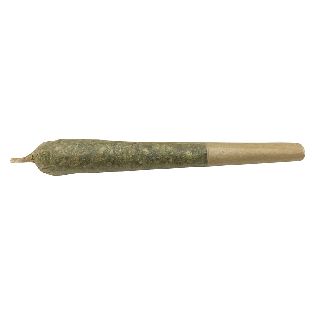 Future Island Pre-Roll