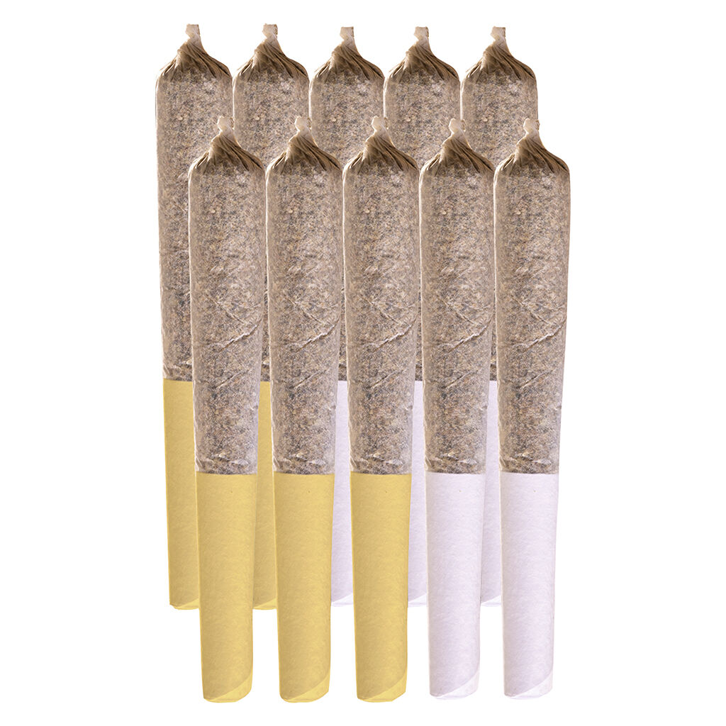 Old School Cultivar Variety Pack 2