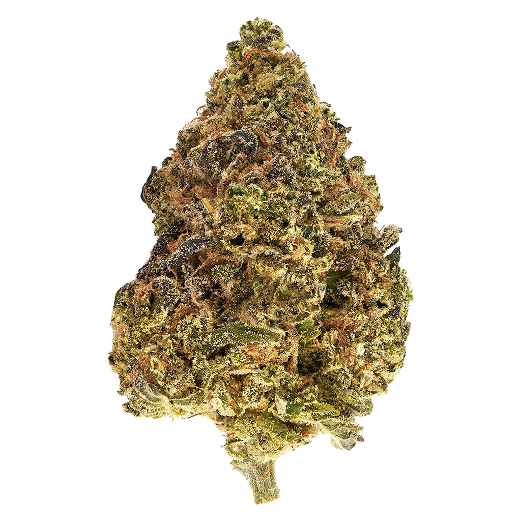 Skullcap 2