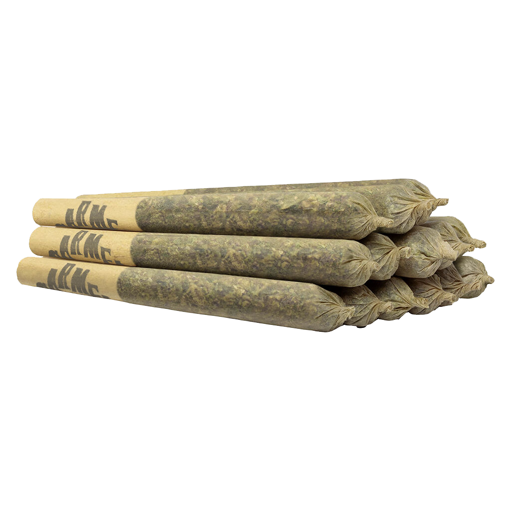 Animal Face Pre-Roll 2