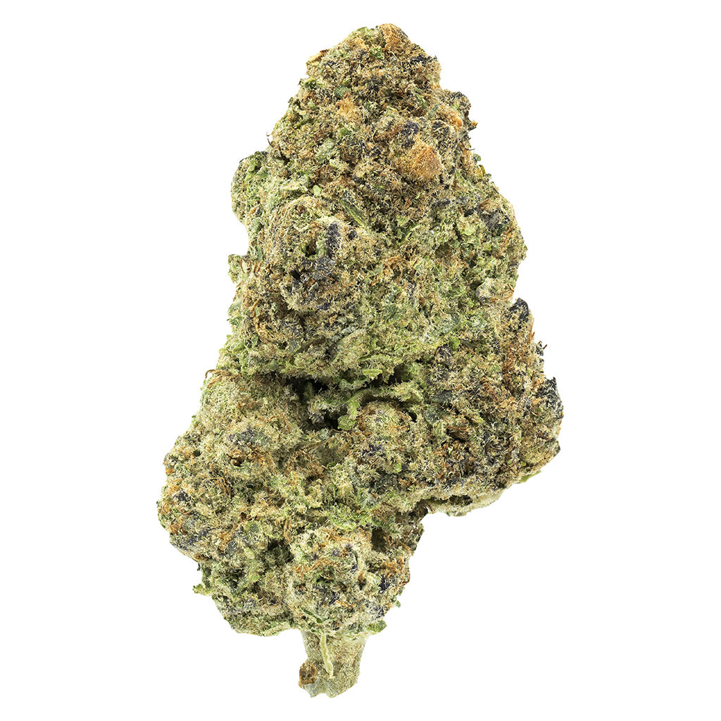 Indica