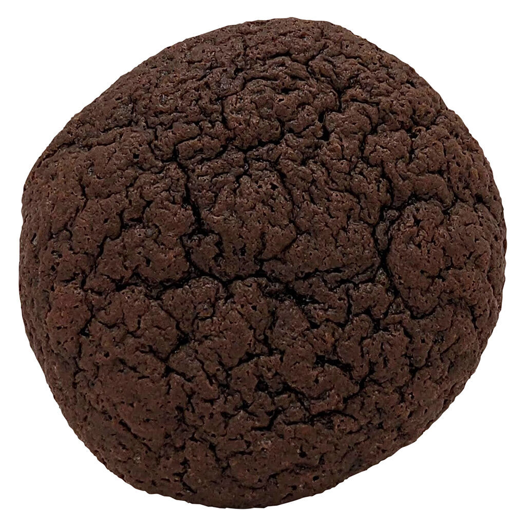 Big Chocolate Cookie