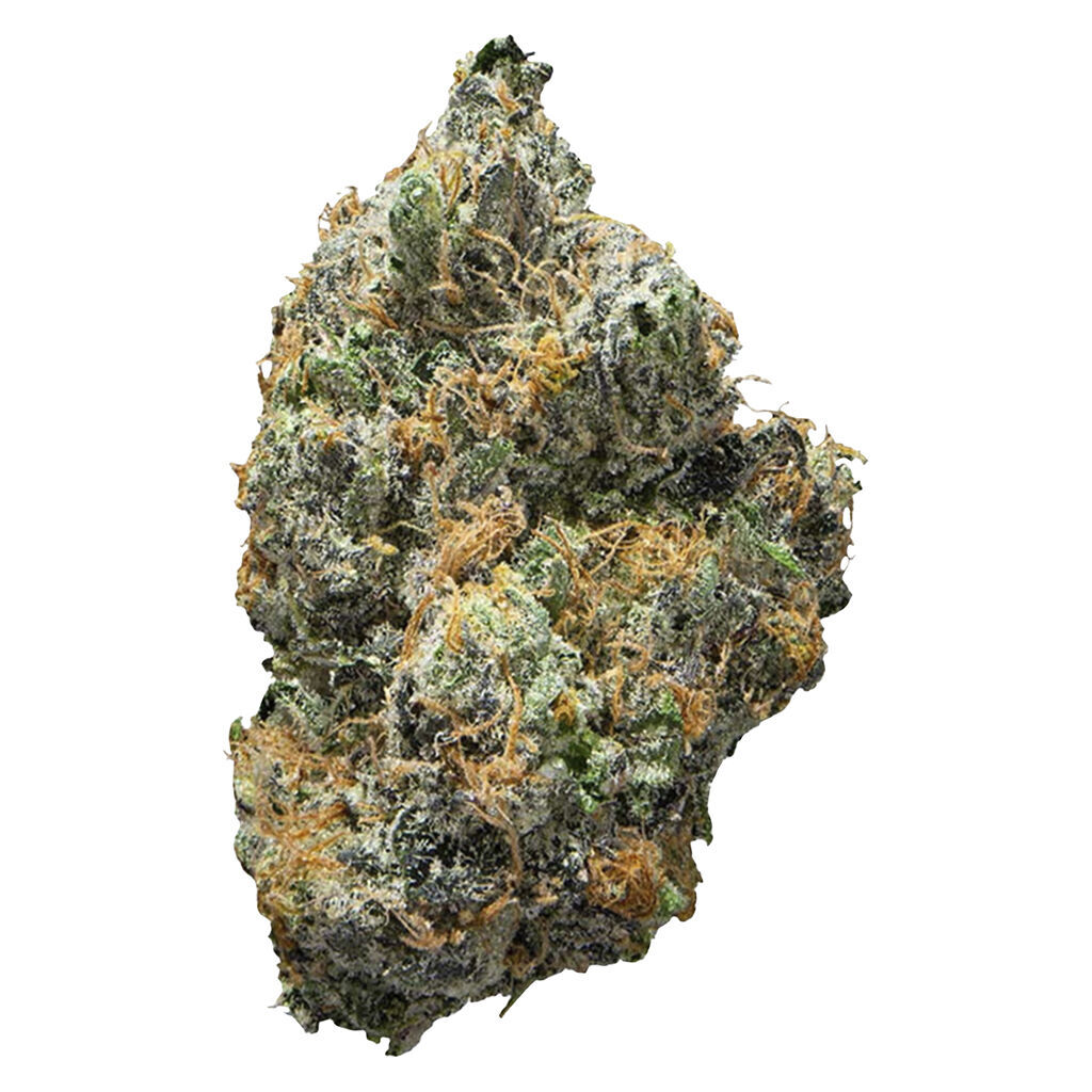 BC Organic Tea Time #7