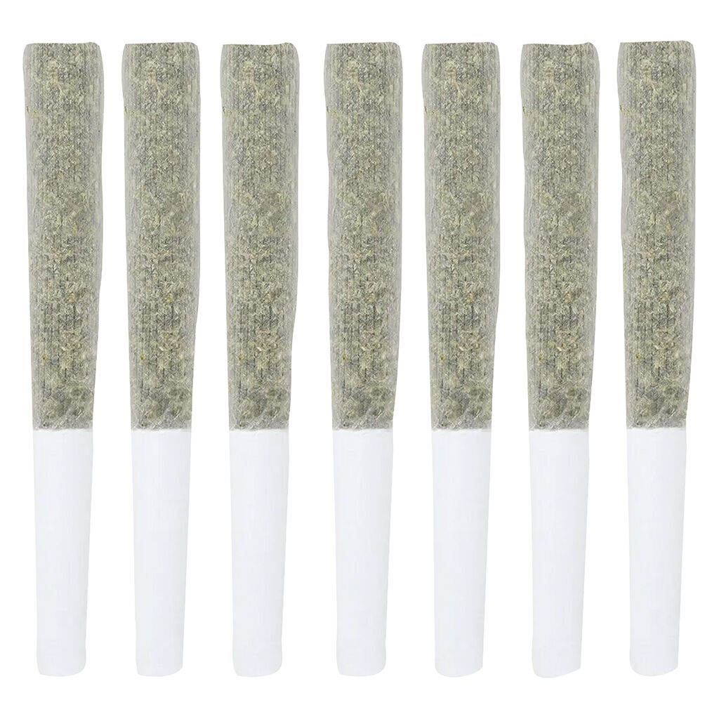 House Of Hazes Pre-Roll