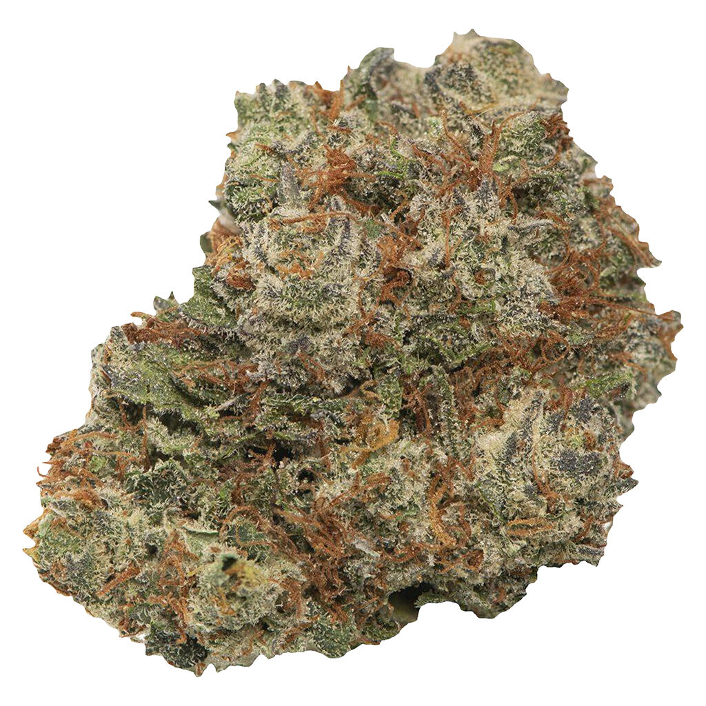 Toba's Sativa