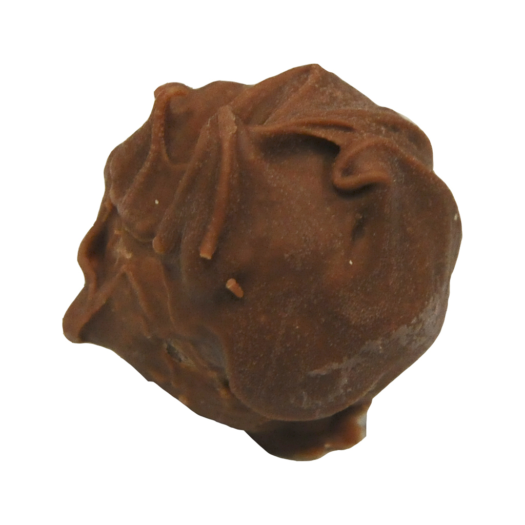 Chocolate Cranberry Truffles