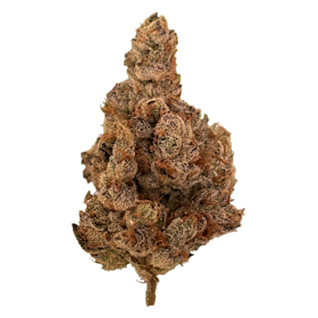 Donny Burger (GMO x Han Solo)