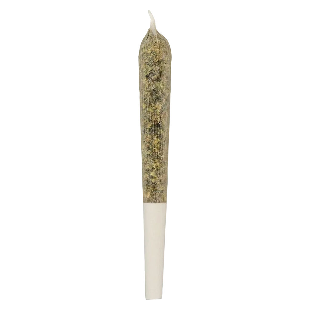Golden Embers Pre-Roll