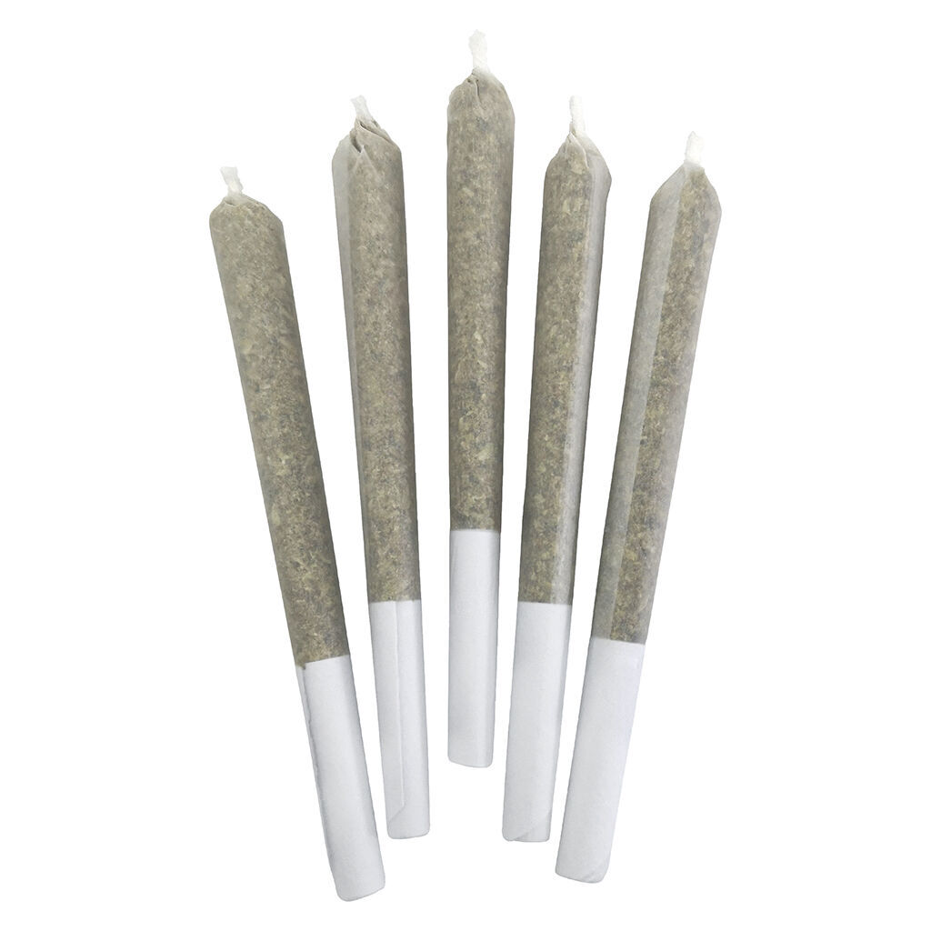 Blueberry Frost Pre-roll