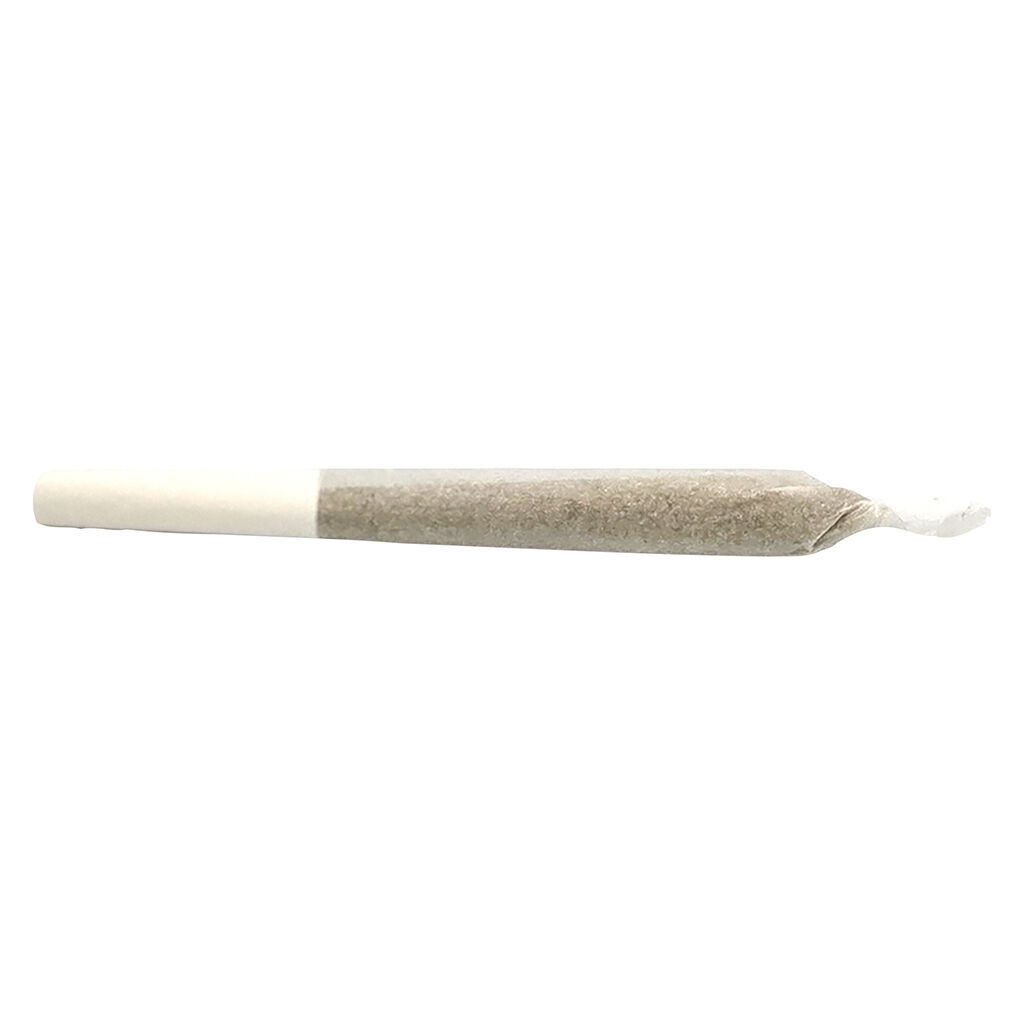 Lemon-Up Pre-Roll 2