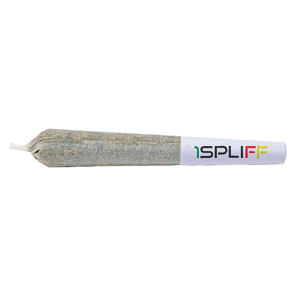 Purple Aya Pre-Roll 2