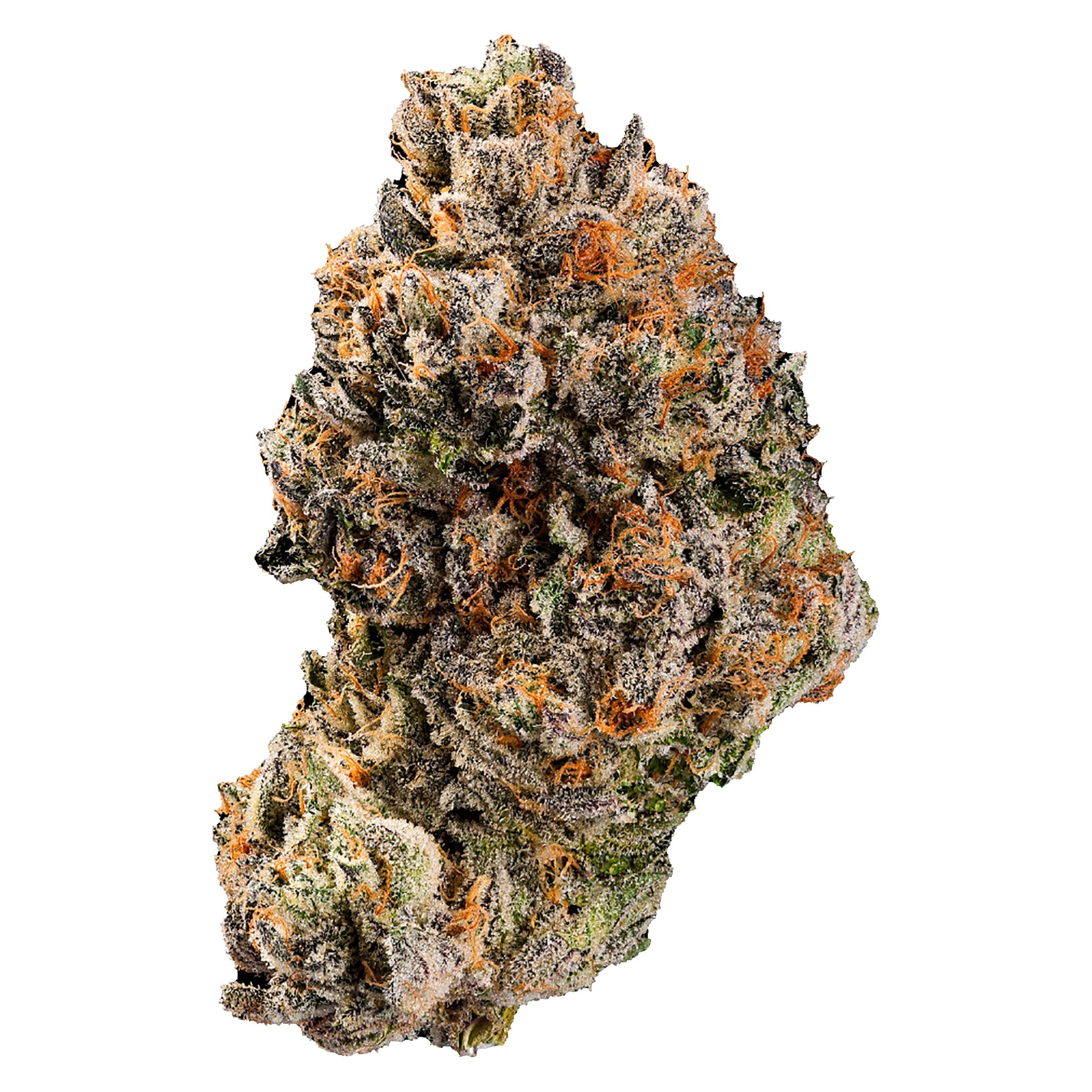 Unicorn Poop 2