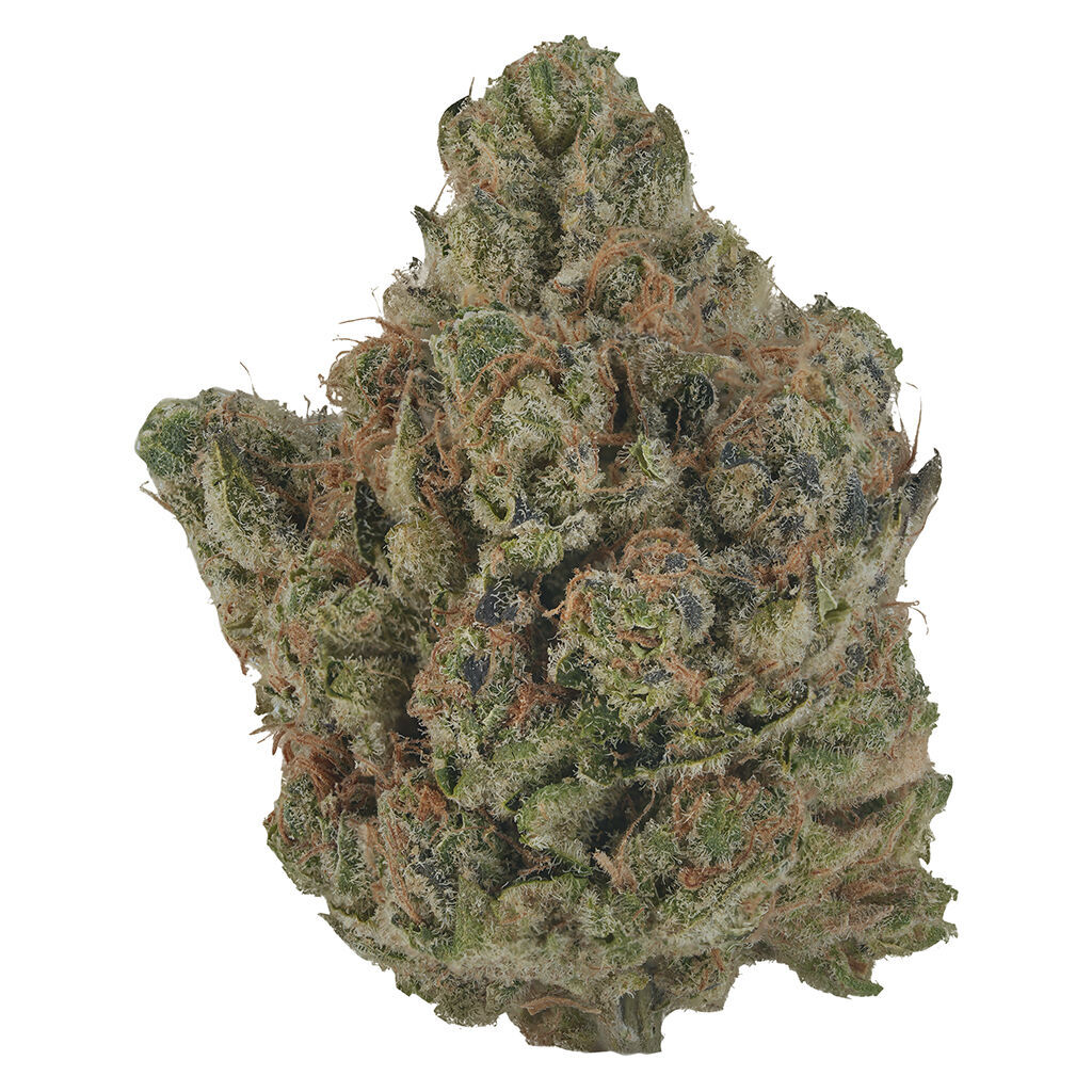 Orange Turpentine 2