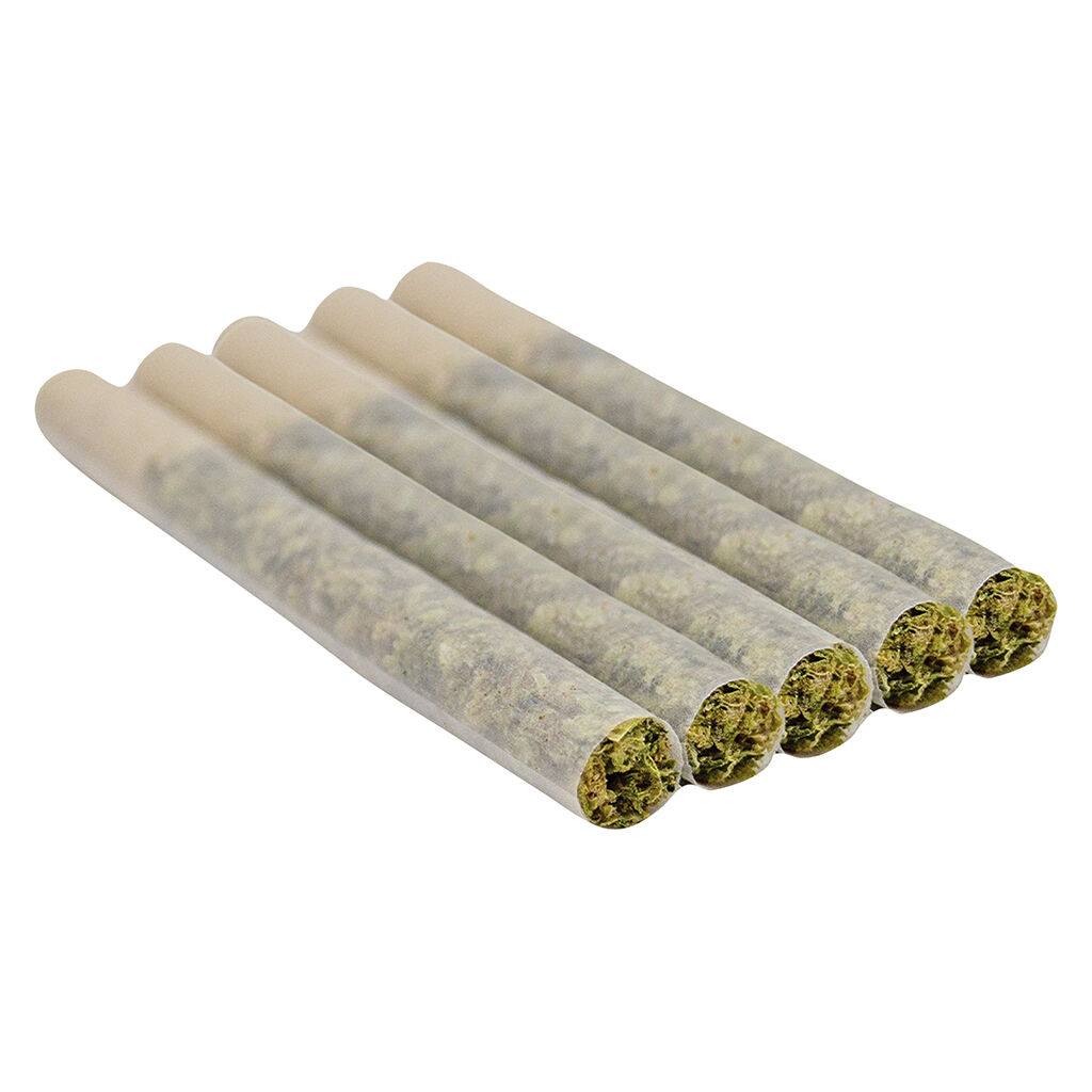 Purple Punch Mints #11 Pre-Roll