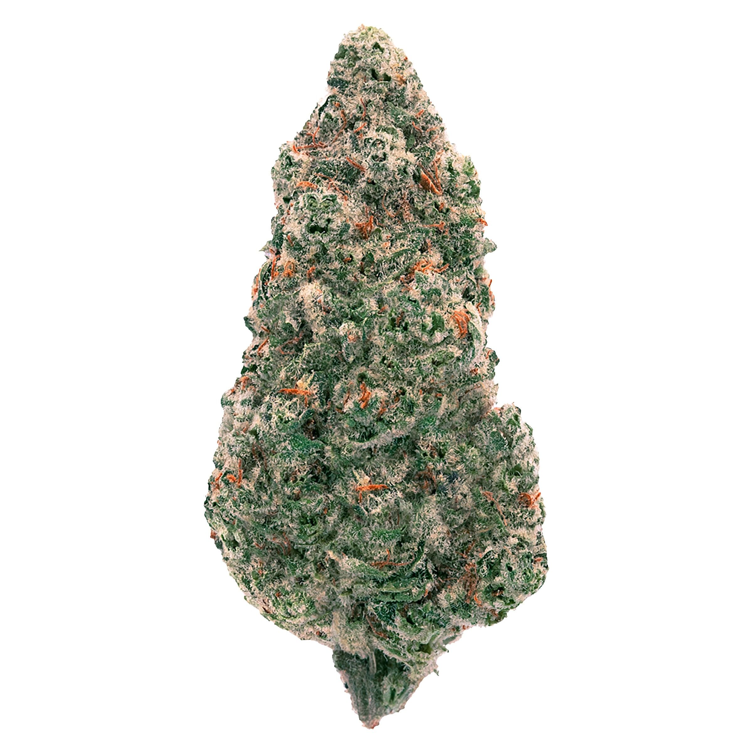 Mandarin Cookies - Sativa