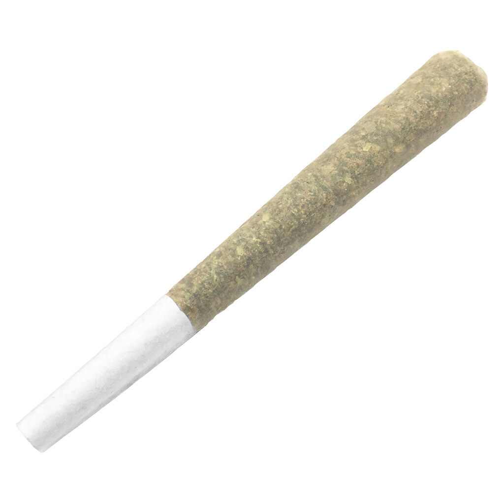 Afghani Bullrider Pre-roll