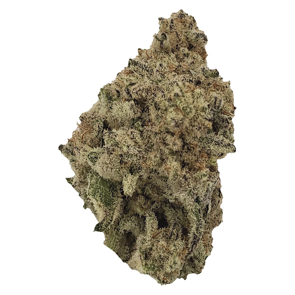 Jazzberry 2
