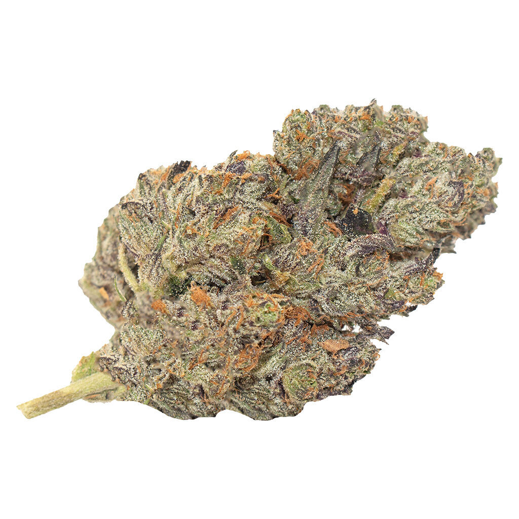 Indica Bag