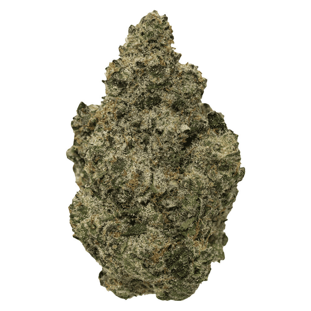 BC Organic Black Zoap 2