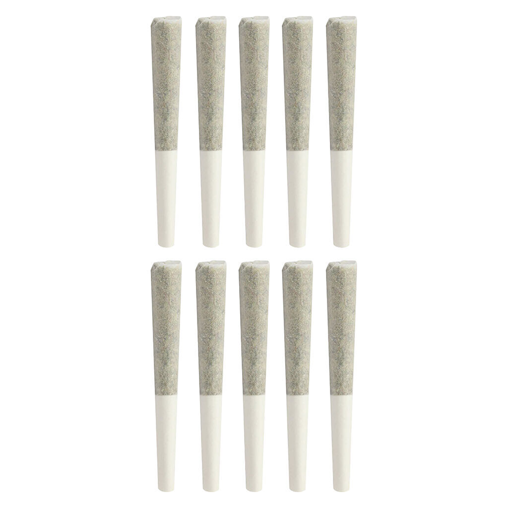 Animal Junky Dog Walker Pre-Roll
