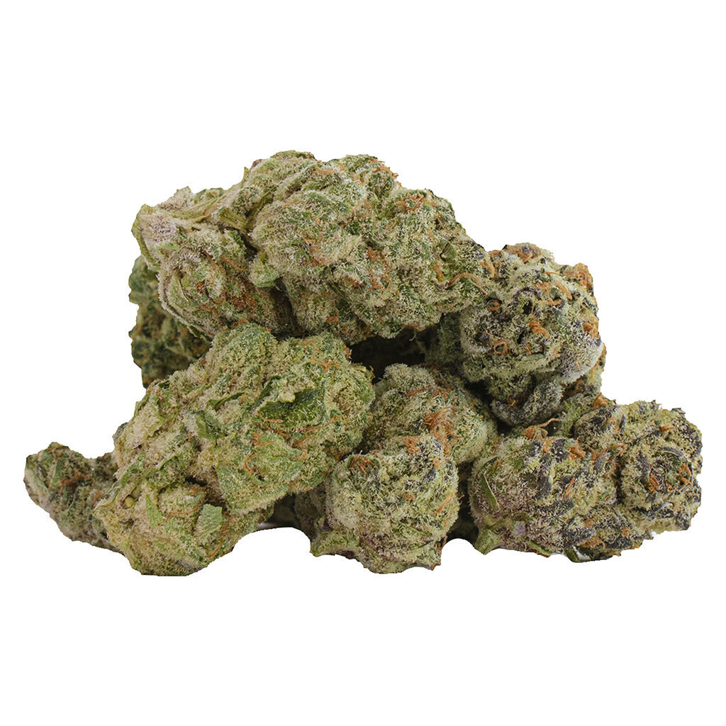 Glitterbomb X Rainbow Cheddar #5