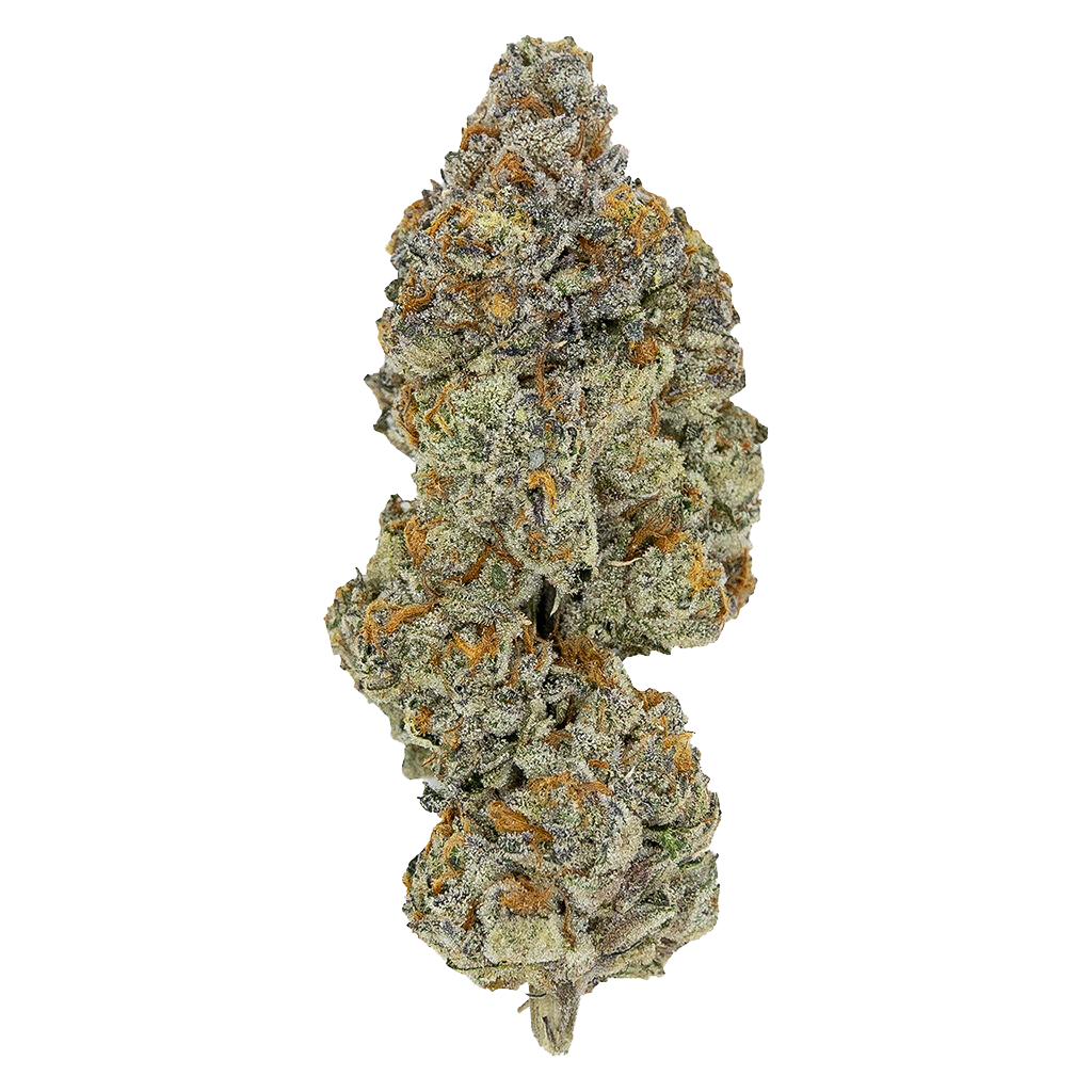 LSO Collection: Blueberry Vendetta