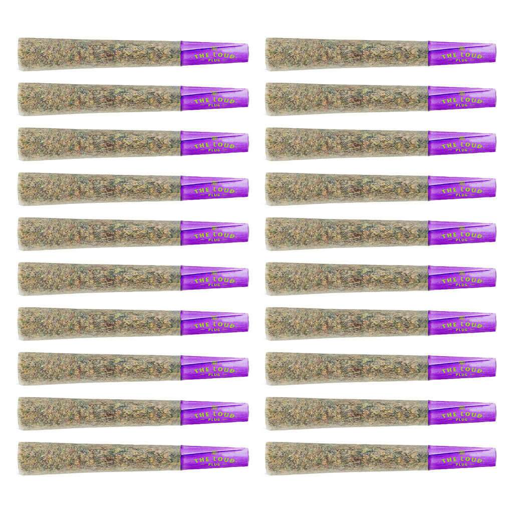 Venom Pre-Roll