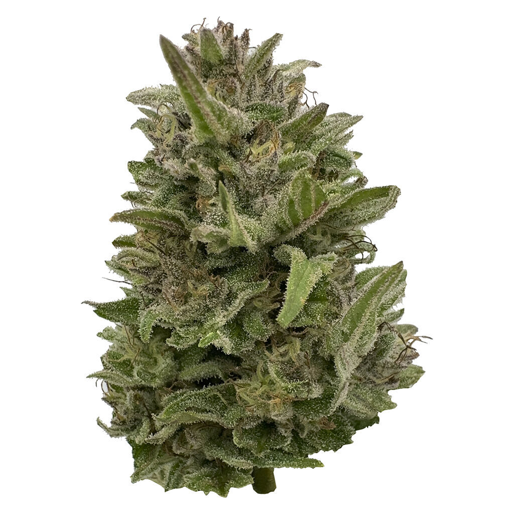 Pretty Chill Indica