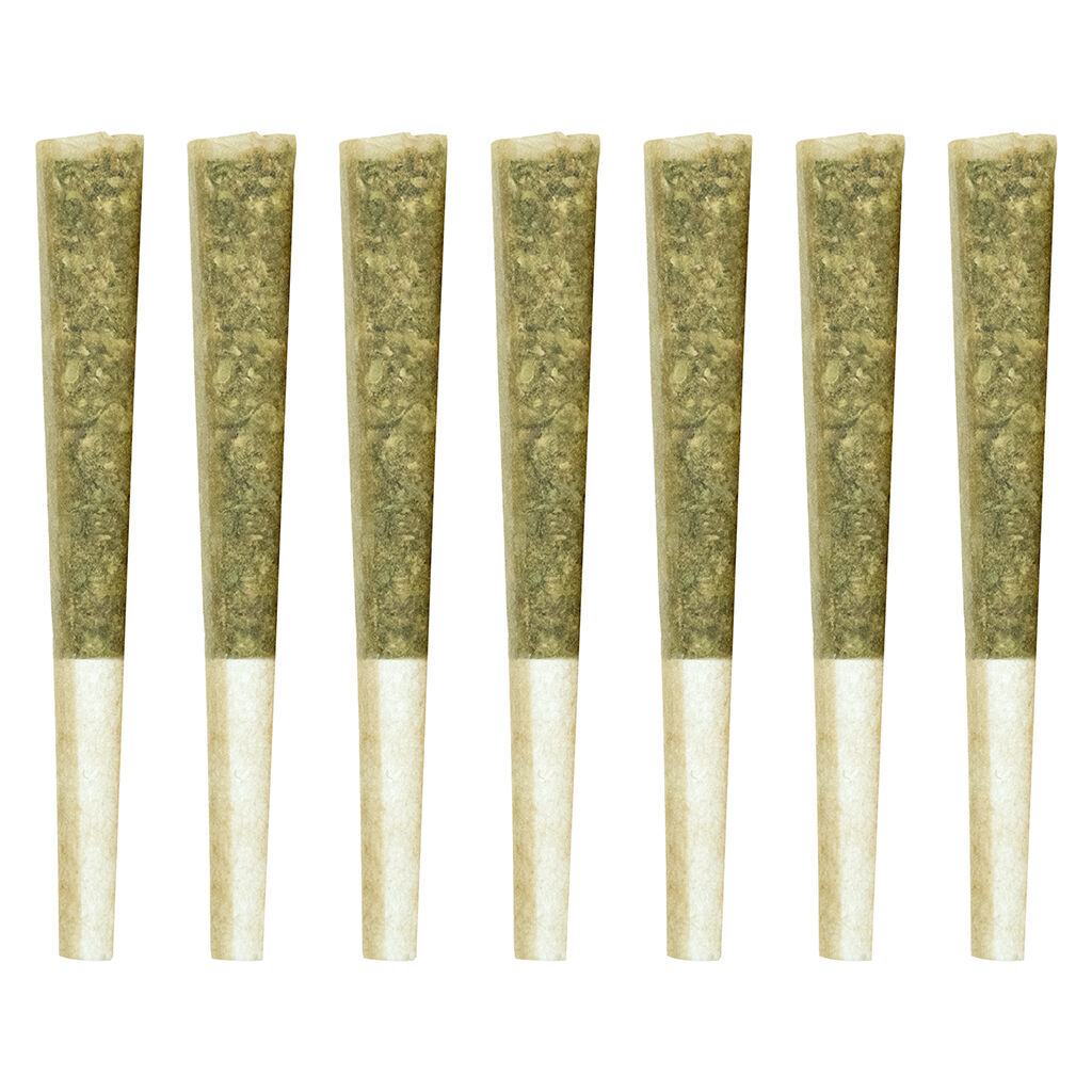 Larry Pre-Roll