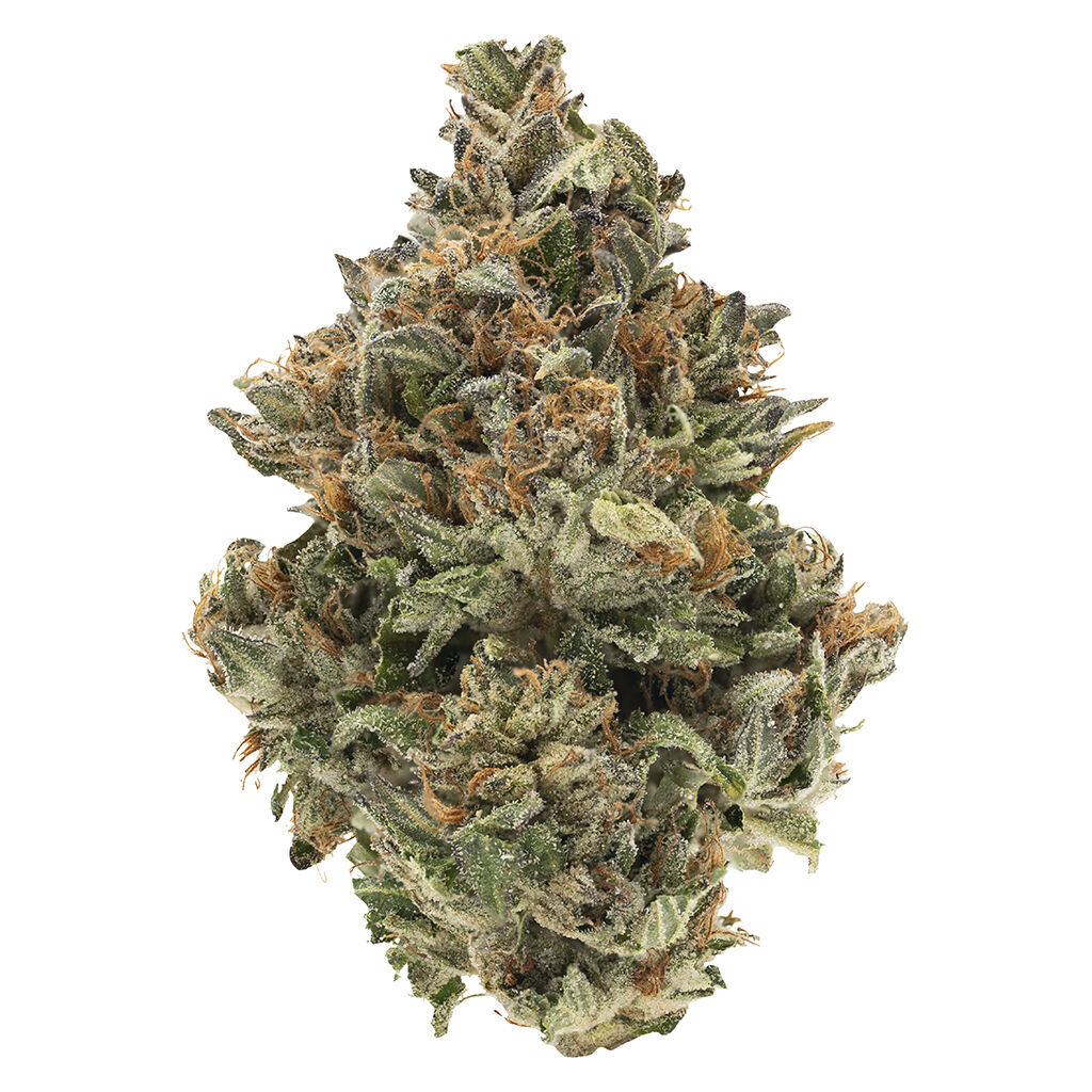 BC Organic Fire OG 2