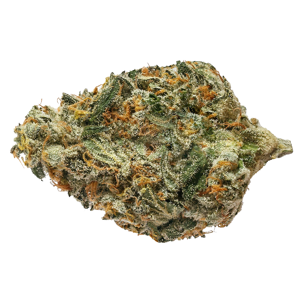BC Bounty