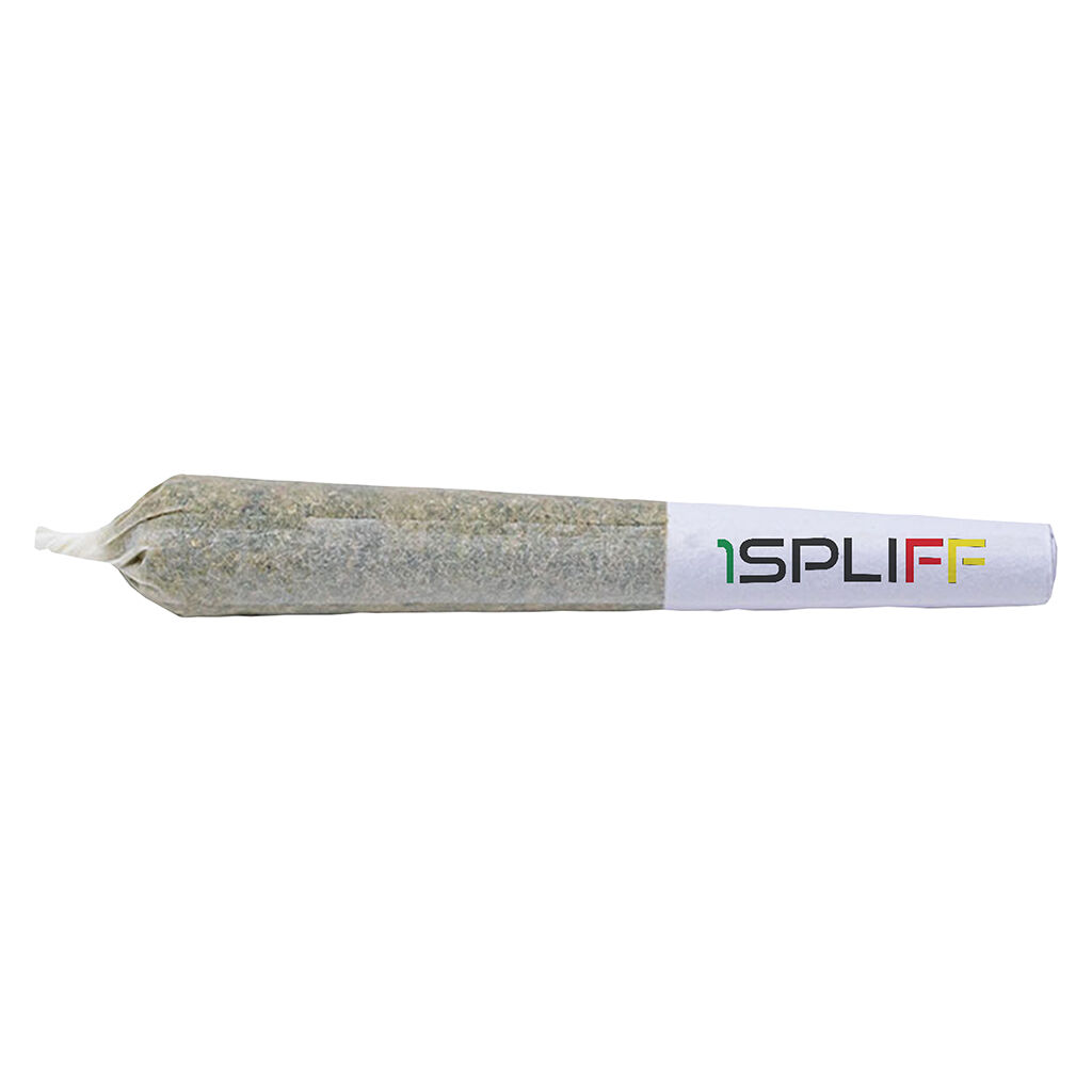 Orange Rntz Pre-Roll