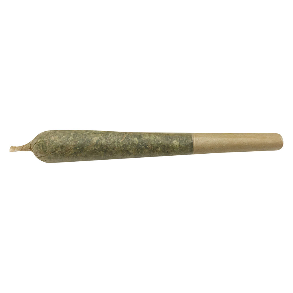 Oreoz X Orange Punch Pre-Roll
