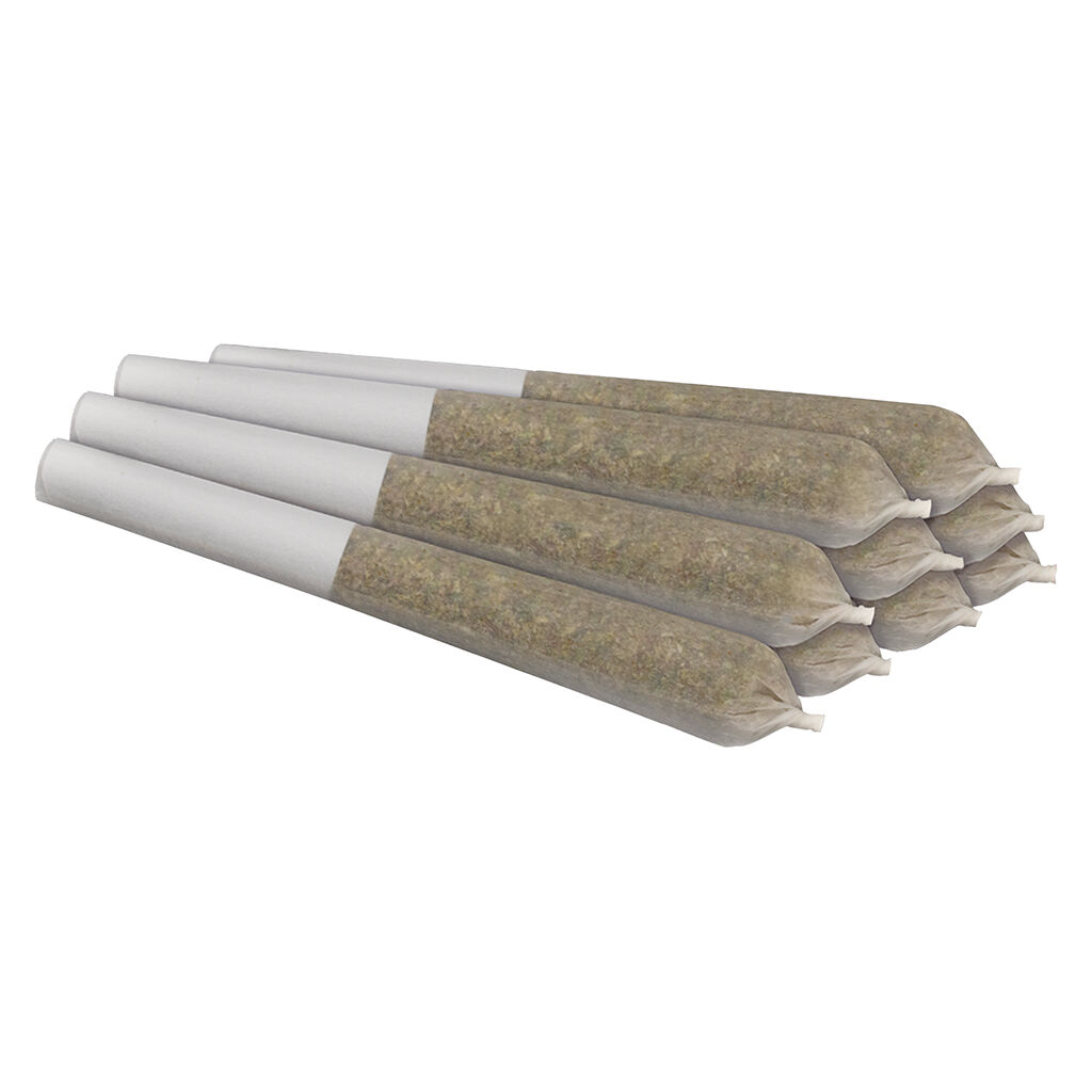 LA Beatnik Pre-Roll