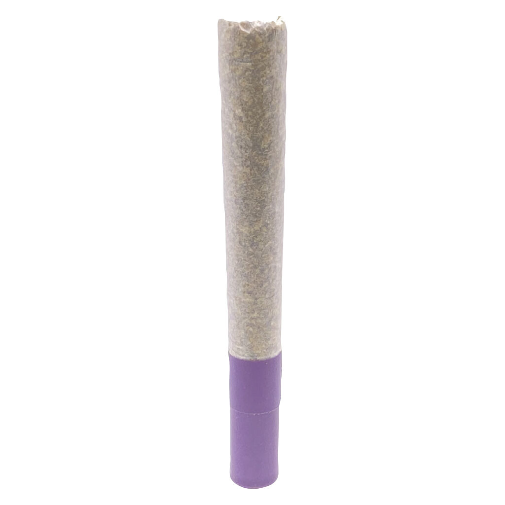 G.S.P (Gas S'il vous Plaît) Ice-Water-Hash Infused Pre-Roll