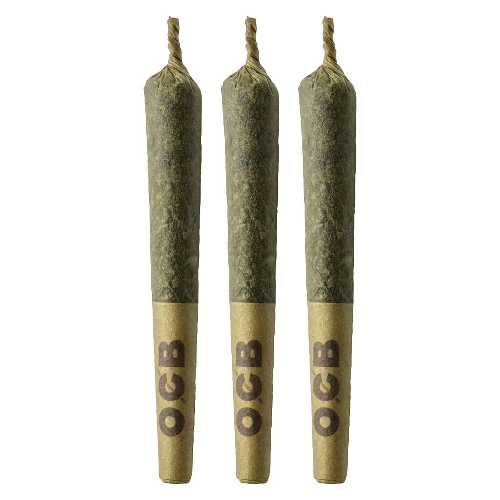 Pink Rose #4 Pre-Roll