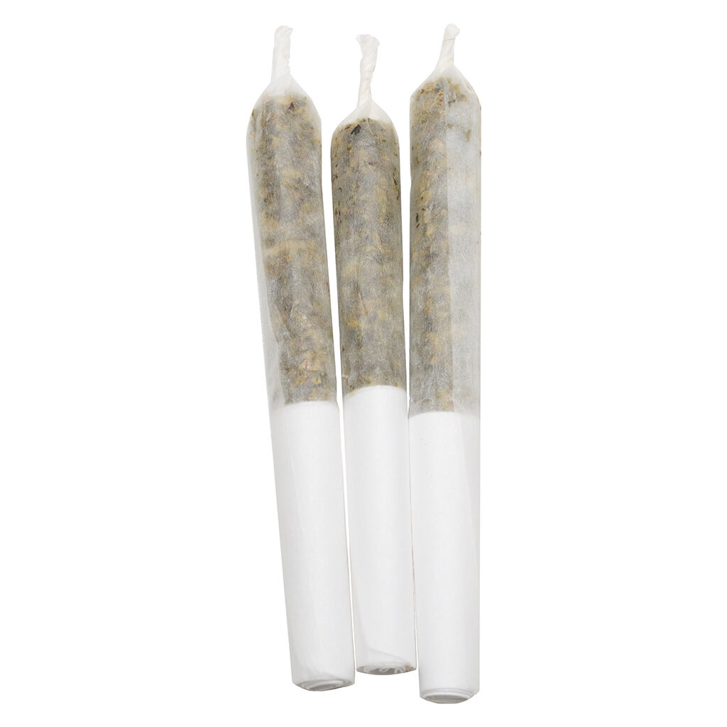 Pineapple Coconut Escape Infused Pre-Roll