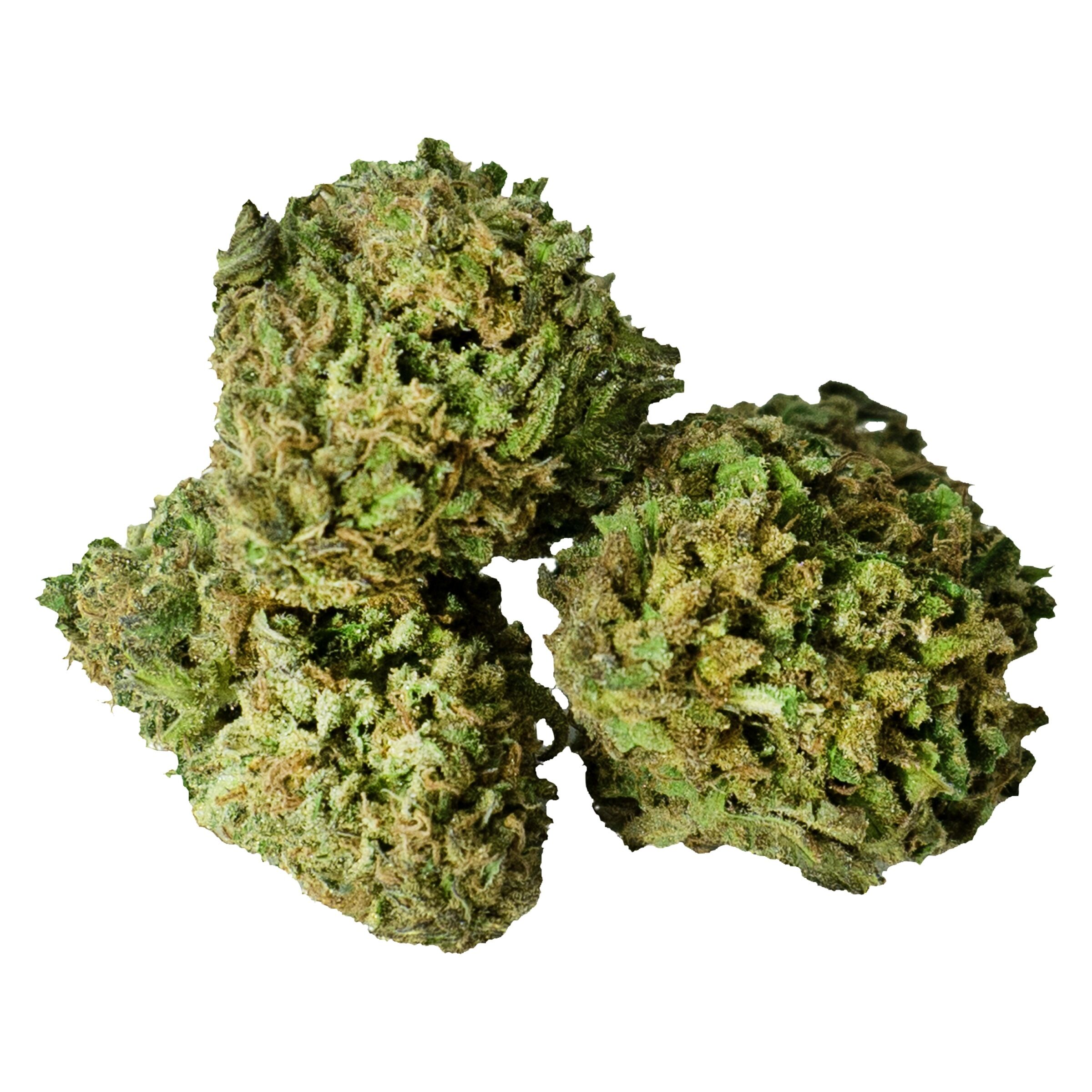 Bruce Banner