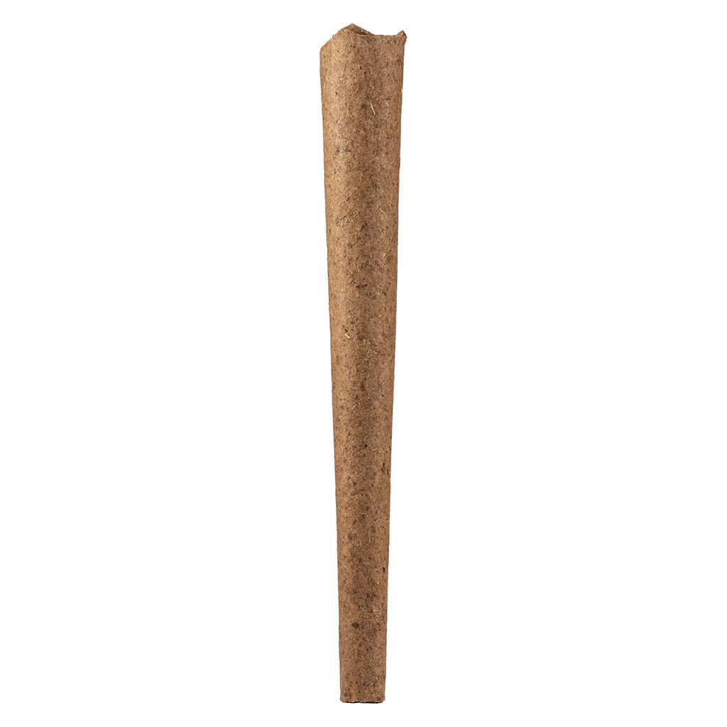 The One Night Stand Blunt