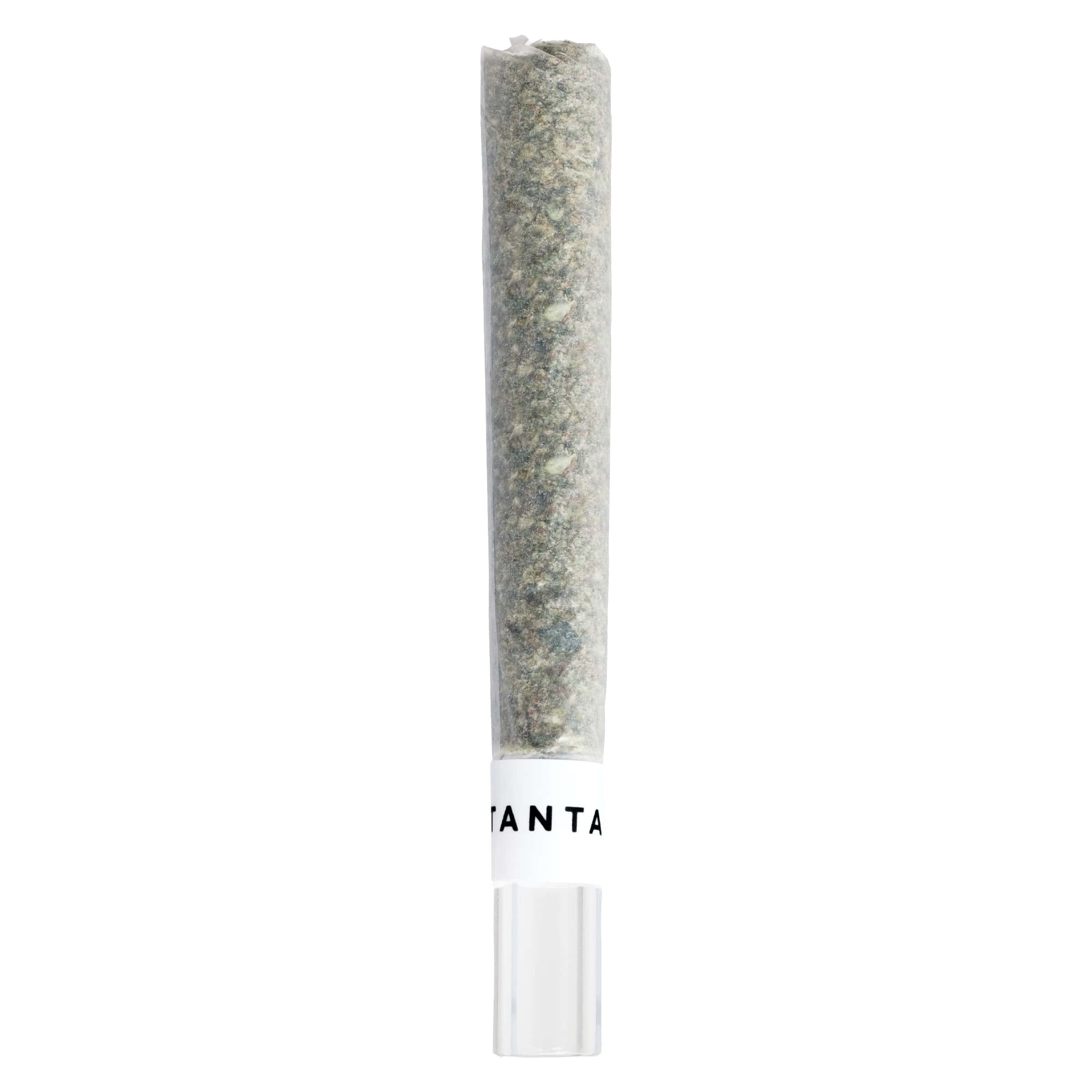 Mai Tai x Zero Gravity Diamond Infused Glass Tip Pre-Roll